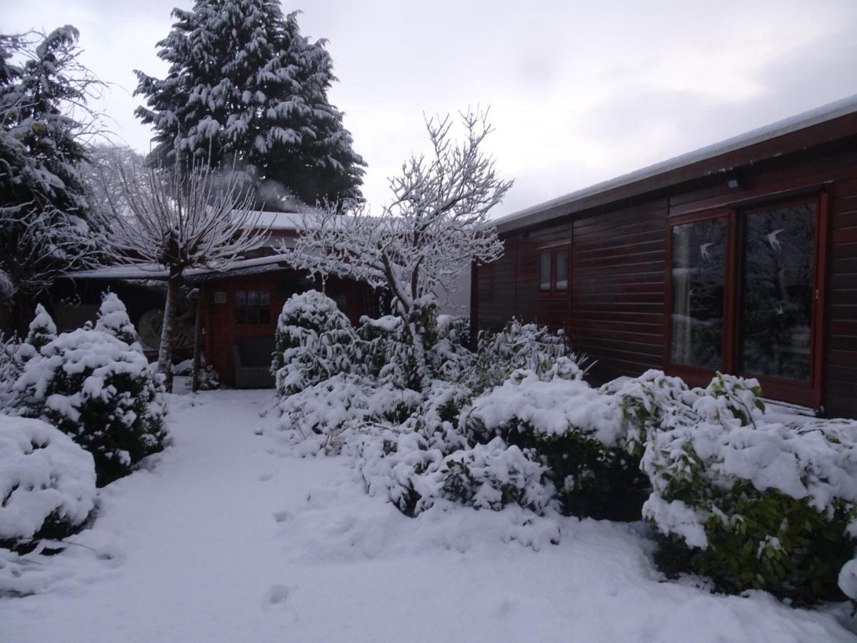 Veluwe Park Reewold Chalet Infinity Putten Exterior foto